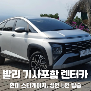 렌터카 – 스타게이저