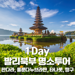 1-Day 발리북부 명소