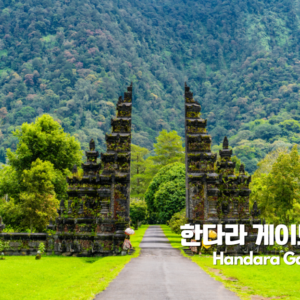 1-Day 발리북부 명소