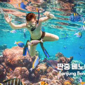 1-Day 발리남부 명소