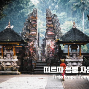 1-Day 낀따마니 투어