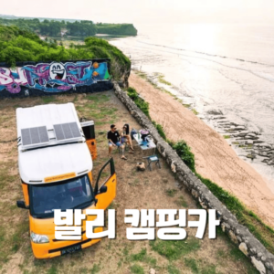 기사포함 발리 캠핑카