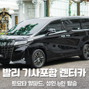 렌터카 – 알파드