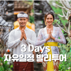 3-Days 발리 명소투어
