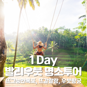 1-Day 발리우붓 명소