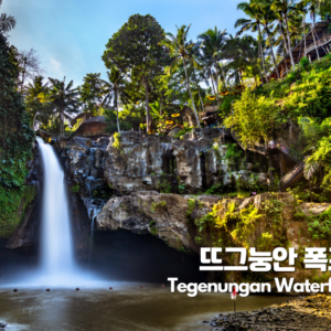 1-Day 발리우붓 명소