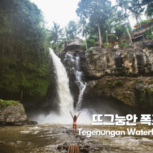 5-Days 발리 명소투어